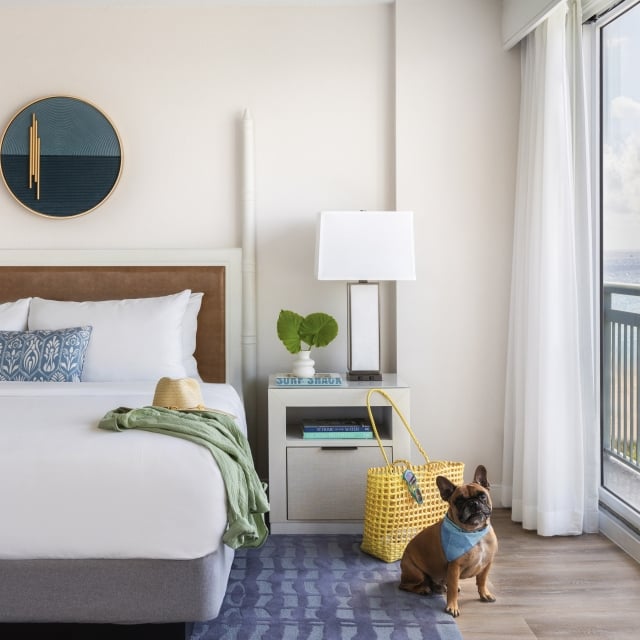 pet friendly guestroom at The Singer Resort in West Palm Beach