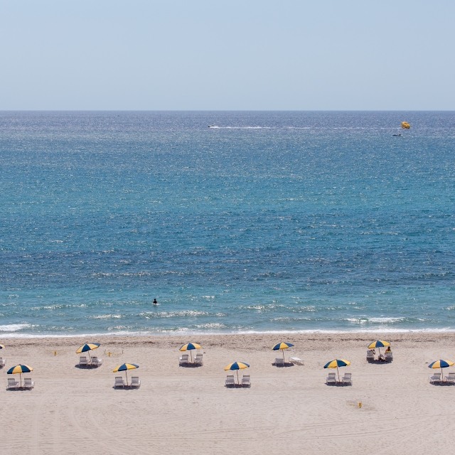 yellow and blue beach umbrellas on the beach